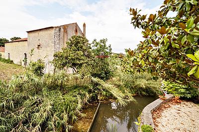 Old Alambique to recover in Cortes, Leiria, with land of 2.020m2