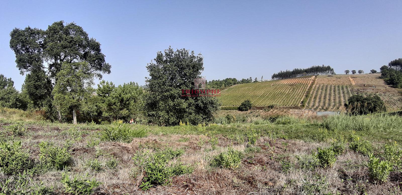 tlogo_A6012