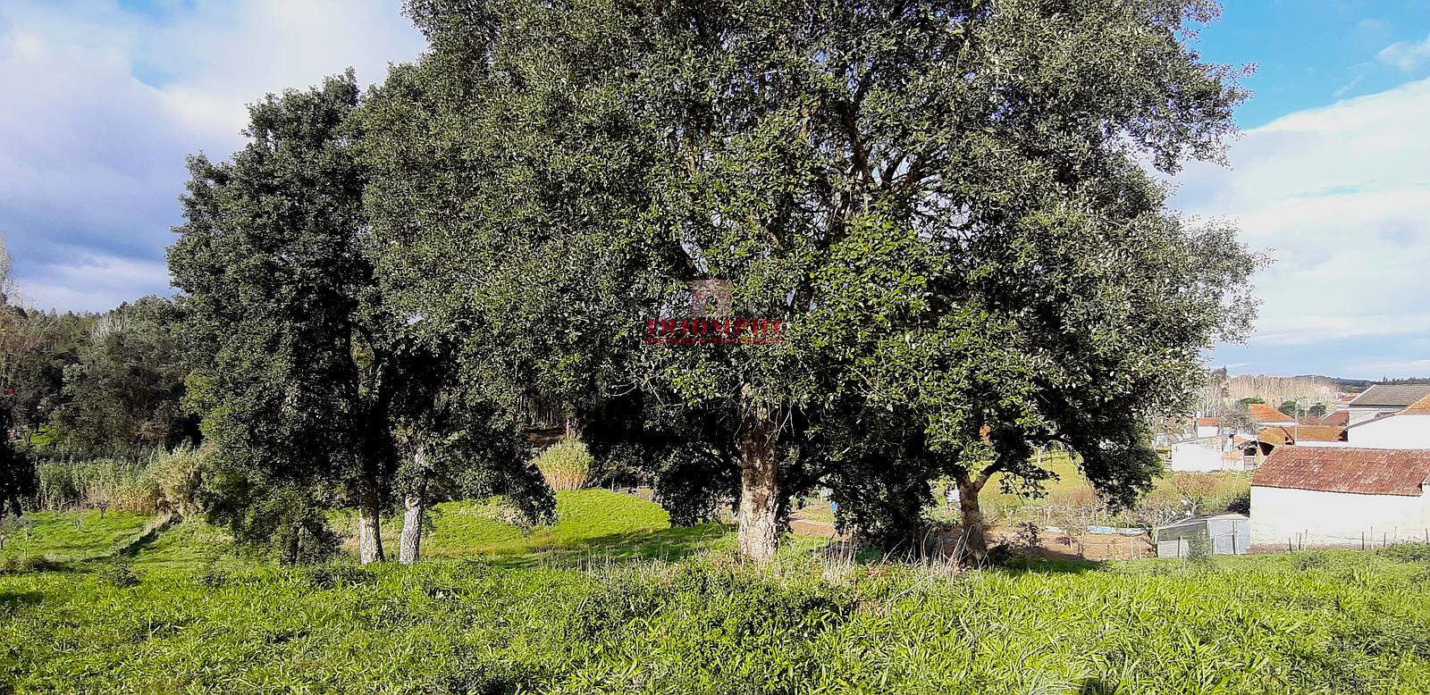 tlogo_20230126_1531163601
