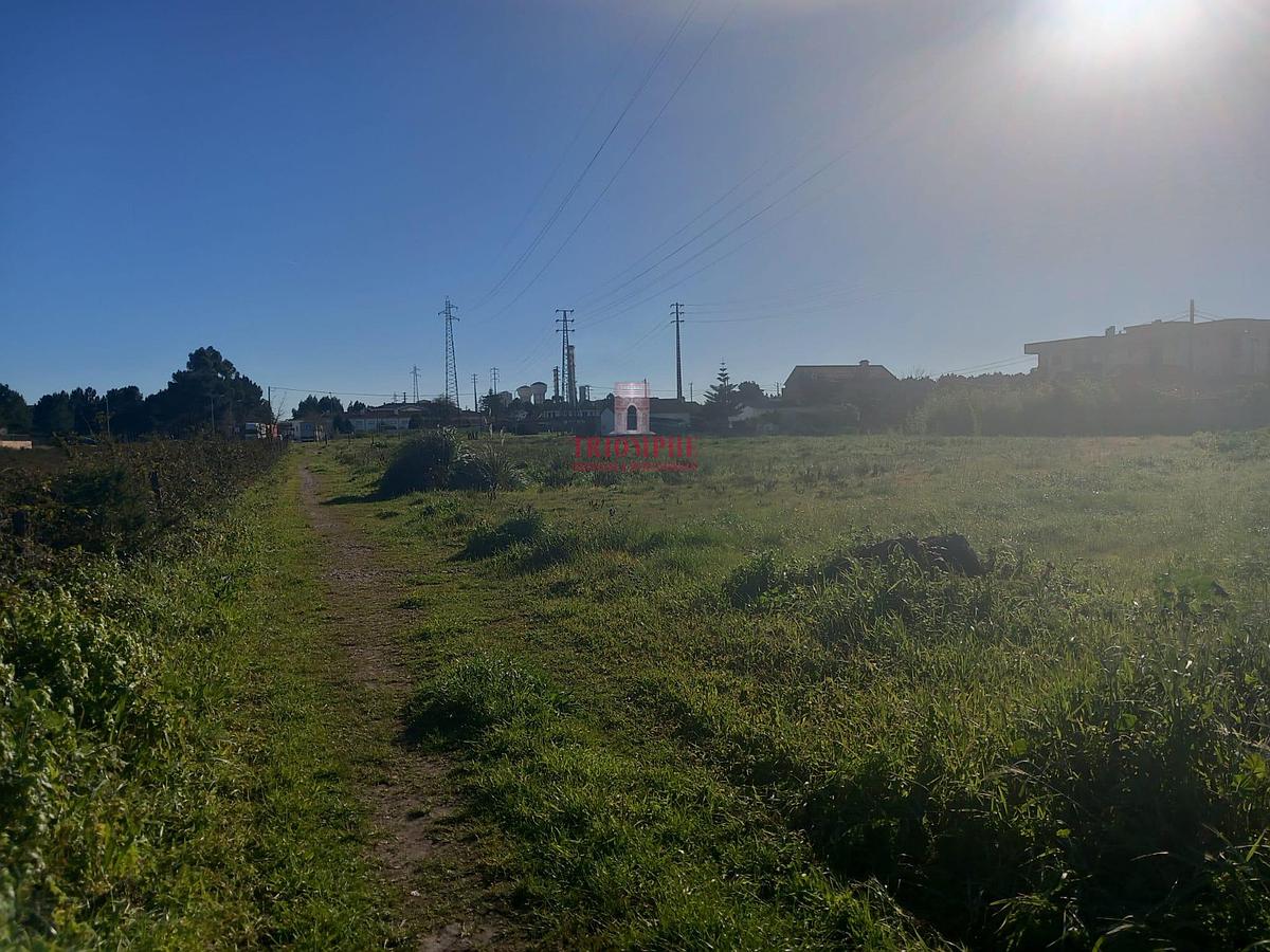 B-Terreno com 9600m2  para construão na Marinha Grande1954