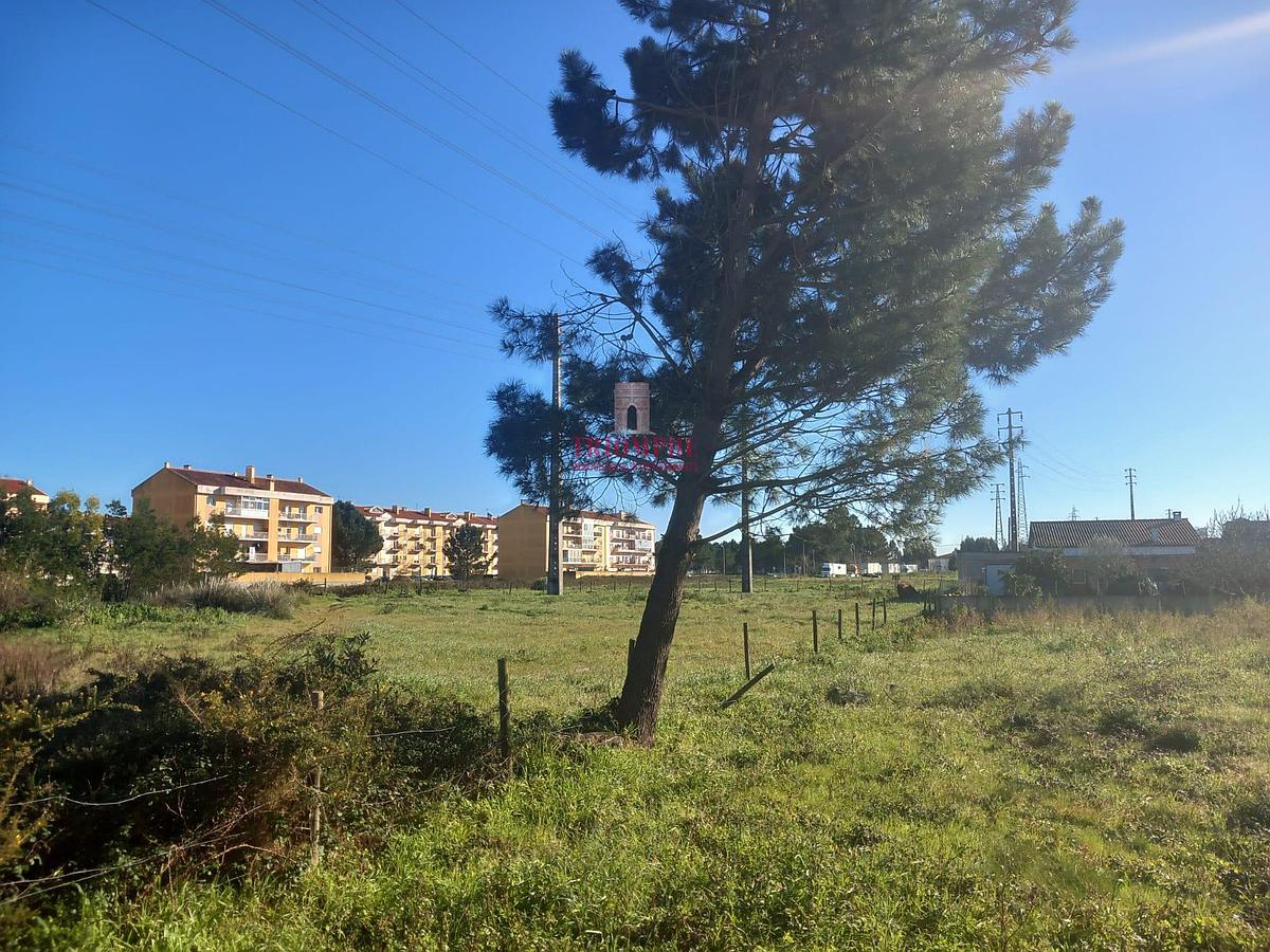 C-Terreno com 9600m2  para construão na Marinha Grande3161