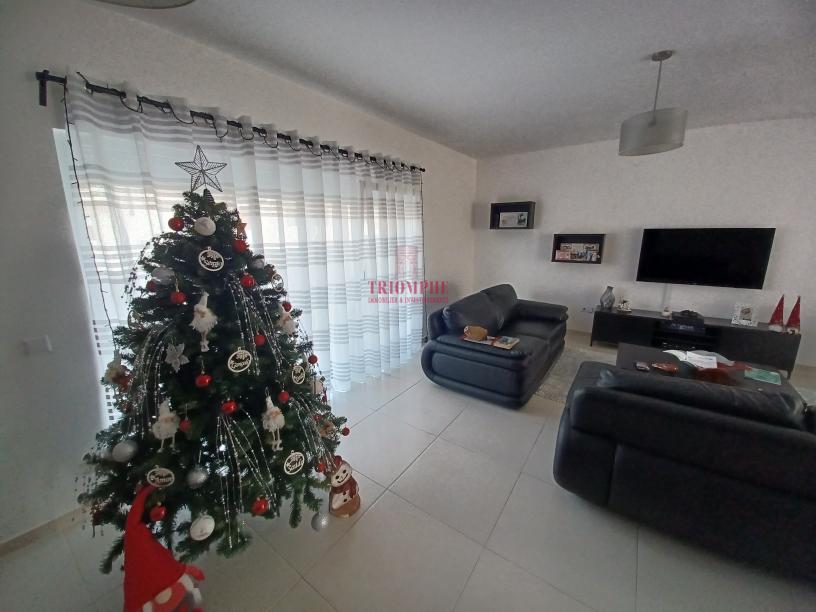 tlogo_20221128_1116146969