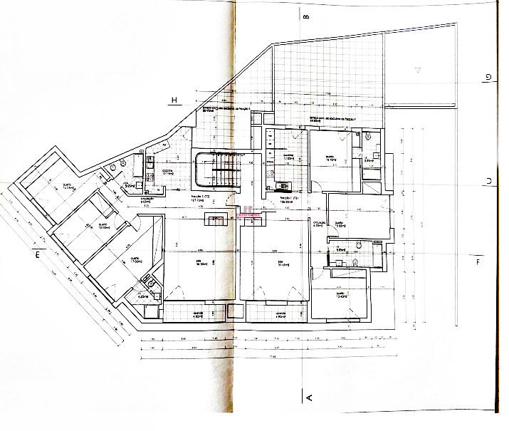 Planta 18849