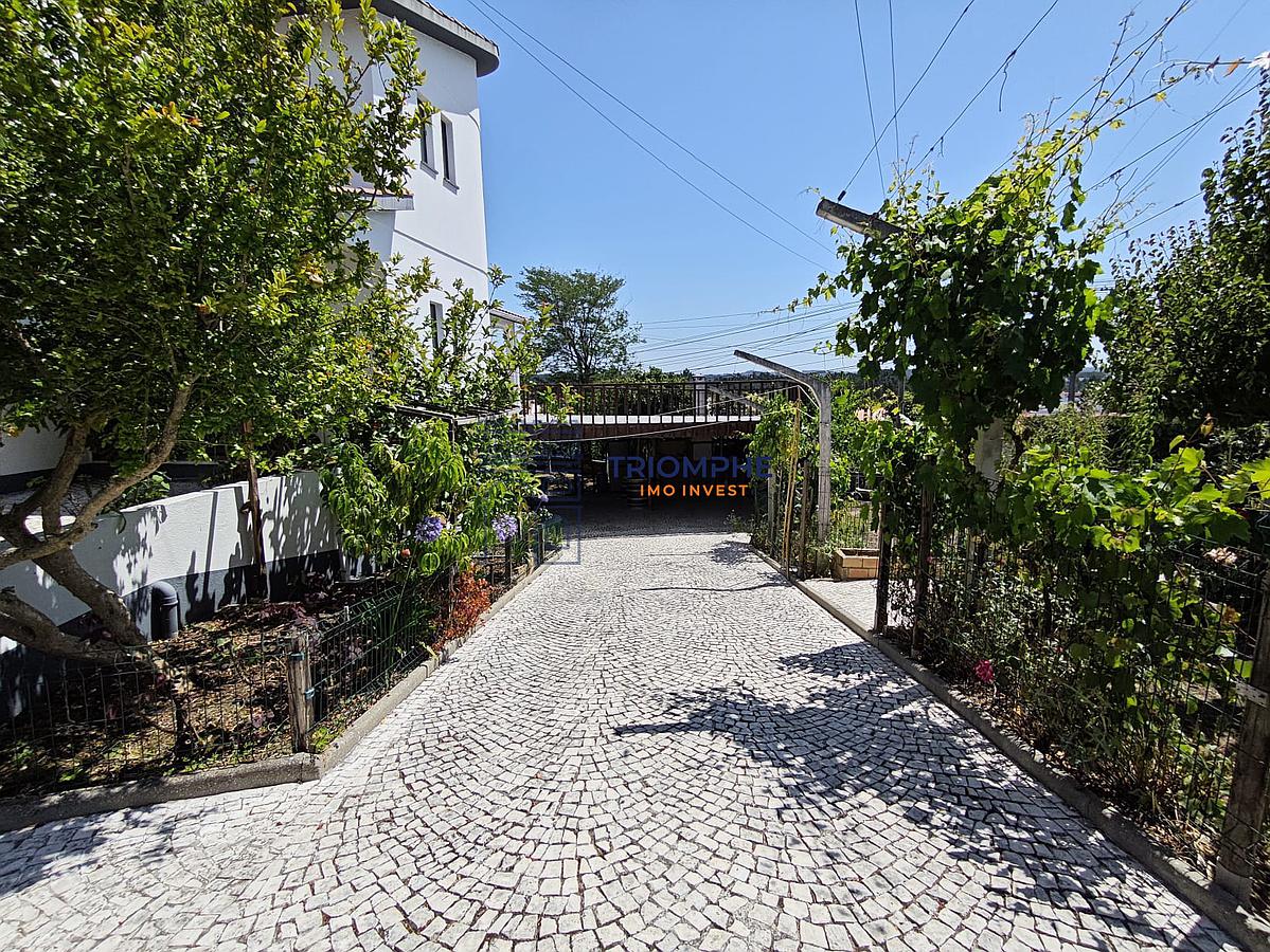 O88061