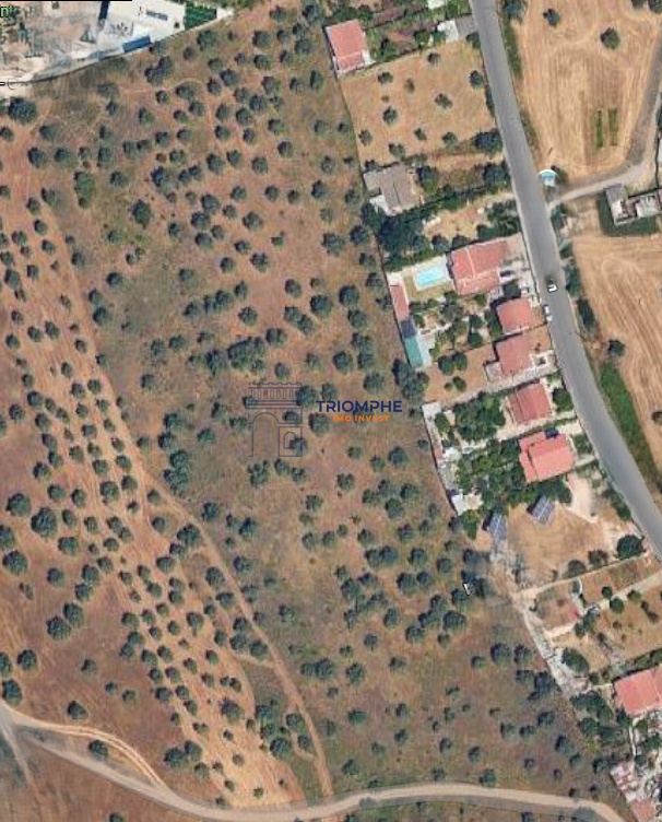 Captura de ecrã 2026-04-20 1534125262