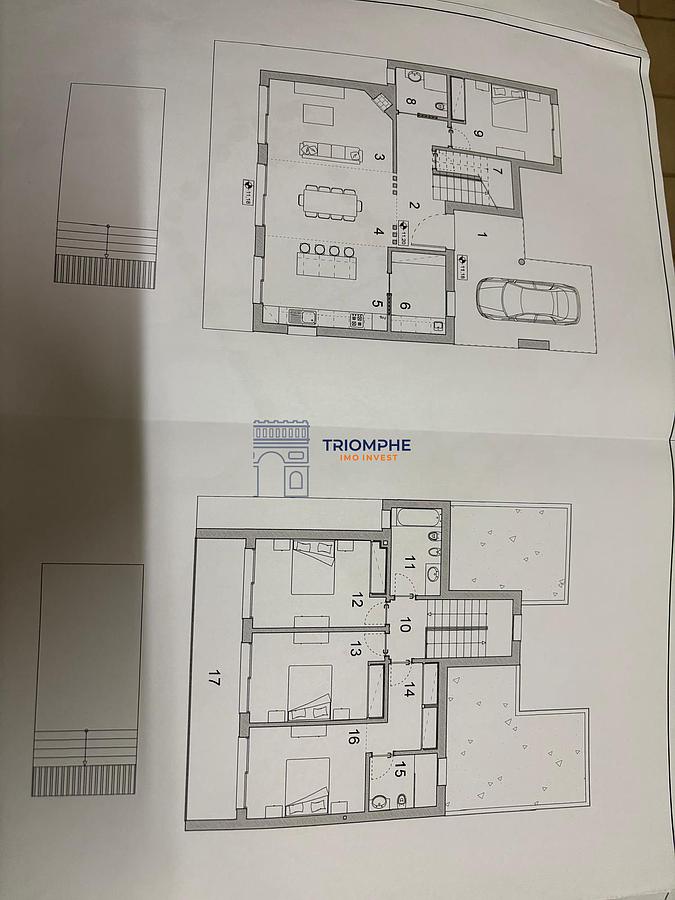 PLANTA 11613