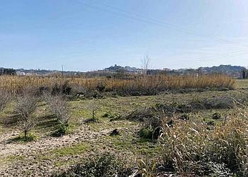 Terreno T0 Marrazes e Barosa