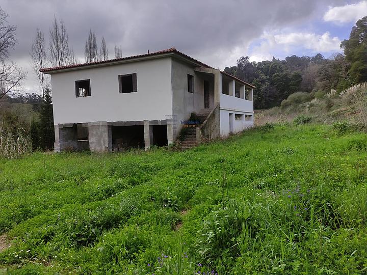 Real Estate
