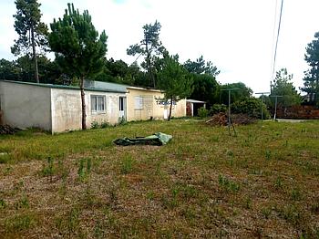 T1 Pataias e Martingaça