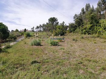 Terreno T0 Maiorga