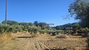 Terreno T0 Meia Via
