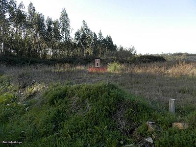 Land for sale in Pinheiro da Bemposta, Oliveira de Azeméis