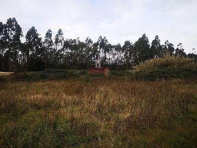 Land for sale in Pinheiro da Bemposta, Oliveira de Azeméis