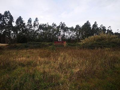 Terrain à vendre à Pinheiro da Bemposta, Oliveira de Azeméis