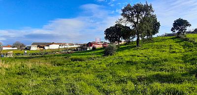 Terrain à bâtir à Asseiceira, Rio Maior, Santarém