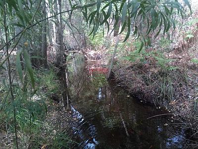  Rustic land with 7000m2 in Brejo de Água