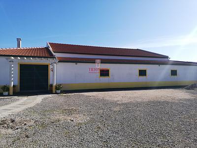 Farm with House T4+1 Coruche - Santarém