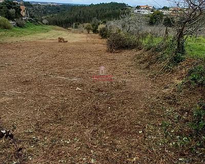 Building Plot in Alcobaça