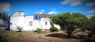 Small farm with house at Vidais - Caldas da Rainha 