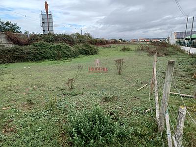 Land of 5400m2 urbanizable, with 5 olive trees