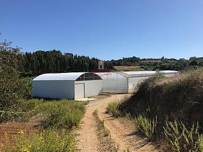 Land with Strawberry Greenhouses in hydroponic, Soure