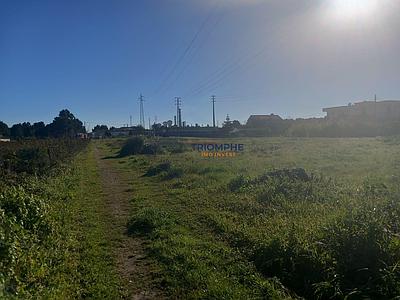 Terrain de 9 600 m2 à Marinha Grande avec indice de construction 1