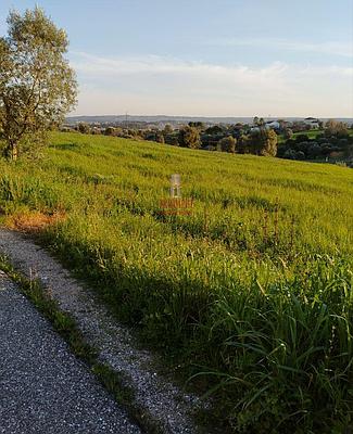 Terrain avec plus de cinq hectares à Palaceiros - Tomar