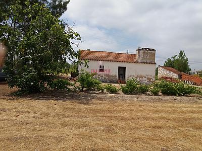 Farm located in Valverde, Parish of Coruche