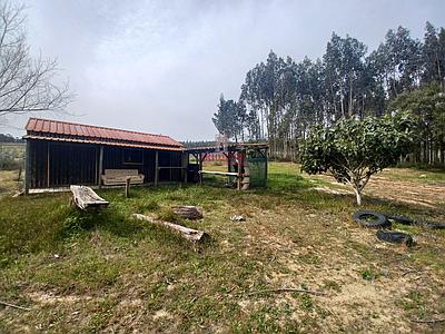Land with Small Wooden House, 3 Wells and River, Caldas da Rainha