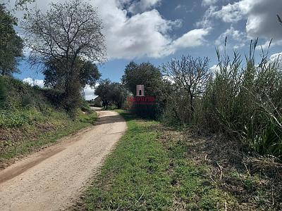 Land with fruit trees, 440 m2, Relvas, Caldas da Rainha 