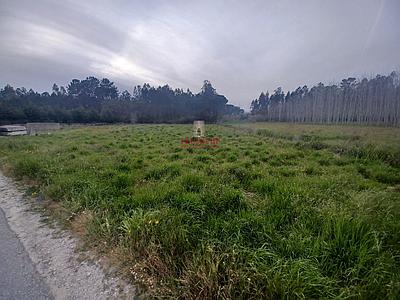 Terrain avec puits et pinède, avec ruisseau, 1.700m2, Amor, Leiria