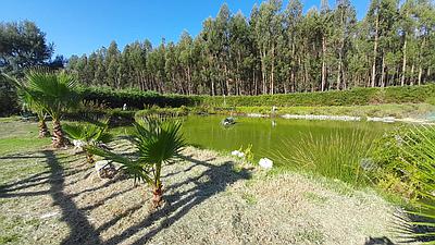 Farm 20800m2 and Lake, With Approved Project for House, Pool and 4 1 bedroom apartment