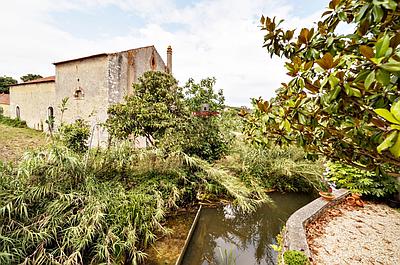 Ancien Alambique à récupérer à Cortes, Leiria, avec terrain de 2.020m2