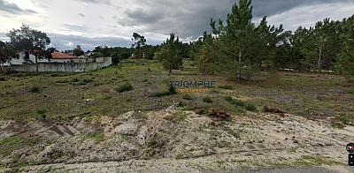 Developable land, 4,500m2, Pataias, Alcobaça