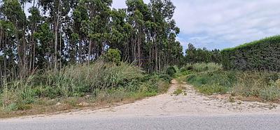 Land, with 8,990m2 gross construction area, Salir do Porto