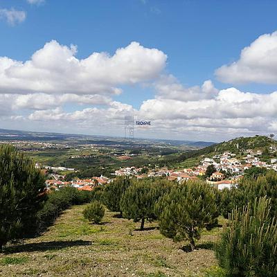 Terrain Mixte avec une Surface Totale de 7 040 m², Cadaval