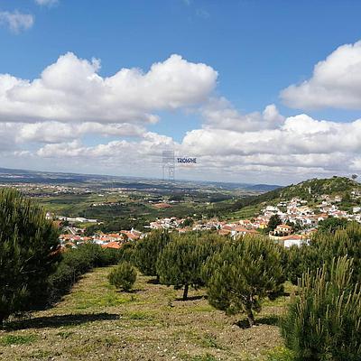 Terrain Mixte avec une Surface Totale de 7 040 m², Cadaval