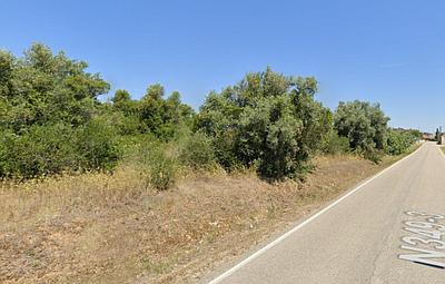 Rustic land -1840m2 in Torres Novas