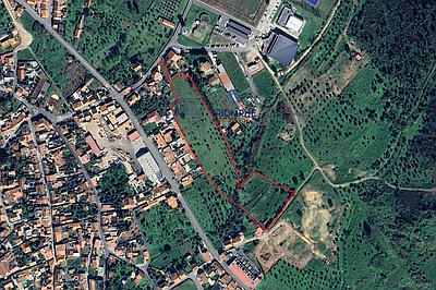 Urbanizable Land, 16,920m², Vila Nova da Barquinha