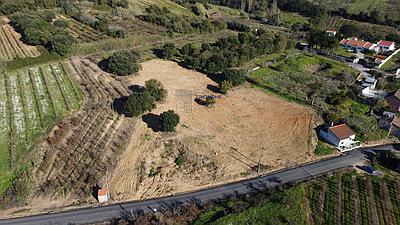 Terrain de 10.000m2 avec possibilité de construction à Delgada, Bombarral