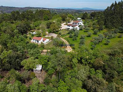 Ferme de charme à Olival, Ourém - Un refuge naturel au potentiel infini
