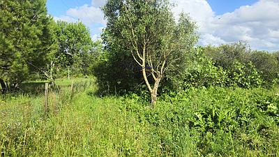 Terrain constructible rustique, Paialvo, Tomar