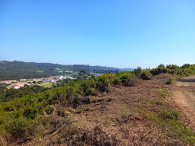 11,000 m² Plot – Approved Urbanization Project – Nazaré