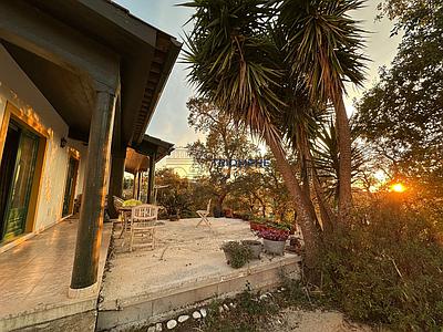 4-bedroom house with annex and land – Torre, Batalha