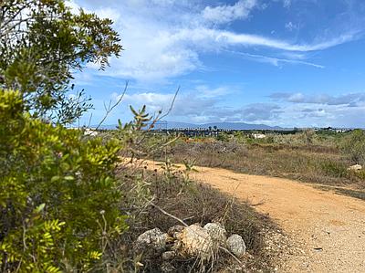 Terrain rustique de 15 000 m² à Estômbar