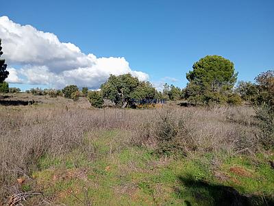 Terrain rural de 25 000 m² - Lagos