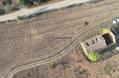 Land with Ruin - Silves - Rural Development Project