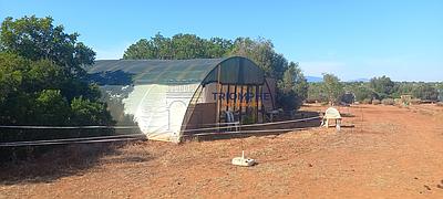 Terrain de 81 600 m² - Lagos