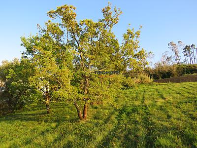 Building lot in Parceiros, Leiria, measuring 1,640 m²